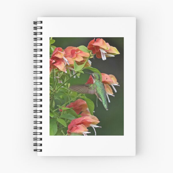Item preview, A ruby in the flowers! designed and sold by Anthony Goldman.