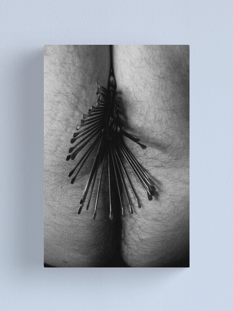 Alternate view of Le Collier - 32 Canvas Print