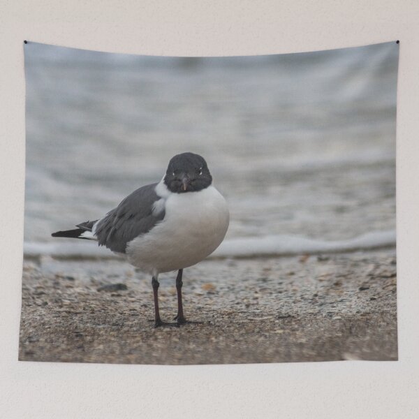 Item preview, Gull in the sea designed and sold by KensLensDesigns.