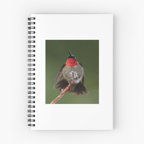 Item preview, Male Ruby -throat Hummingbird designed and sold by Anthony Goldman.