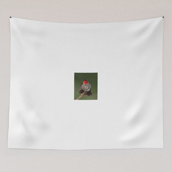 Item preview, Male Ruby -throat Hummingbird designed and sold by Anthony Goldman.