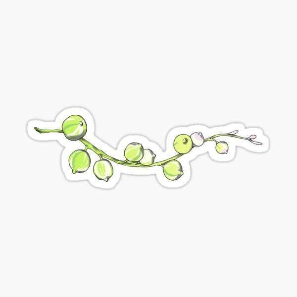 Variegated String of Pearls Succulent (Horizontal) Sticker