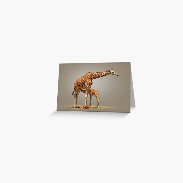 Item preview, BREAKFAST - RETICULATED GIRAFFES designed and sold by Michael Sheridan.