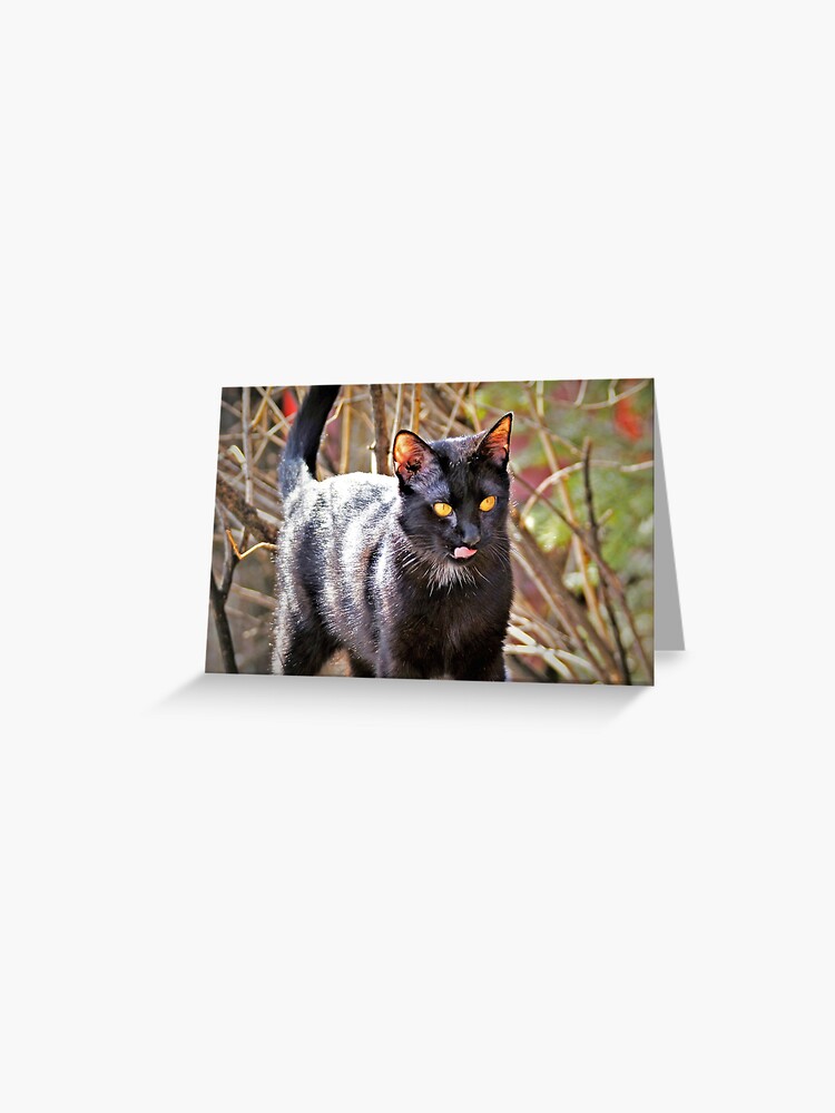 Carte De Vœux Chat Noir Yeux Orange Langue Rose Par Spaceytracey7 Redbubble