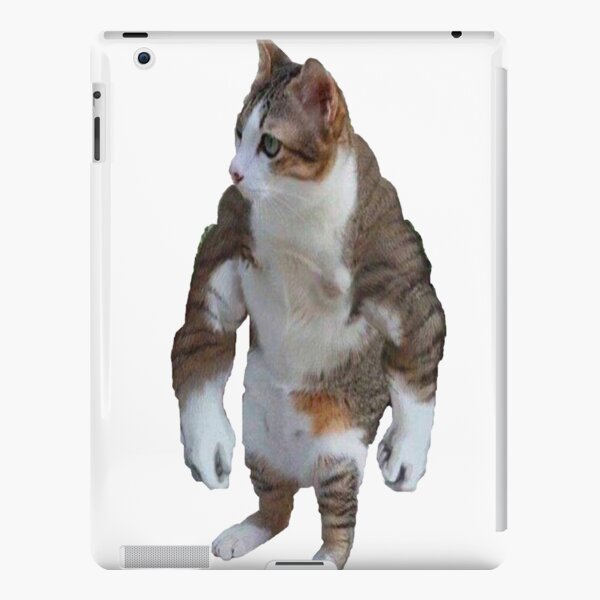 Buff cat mac os 11