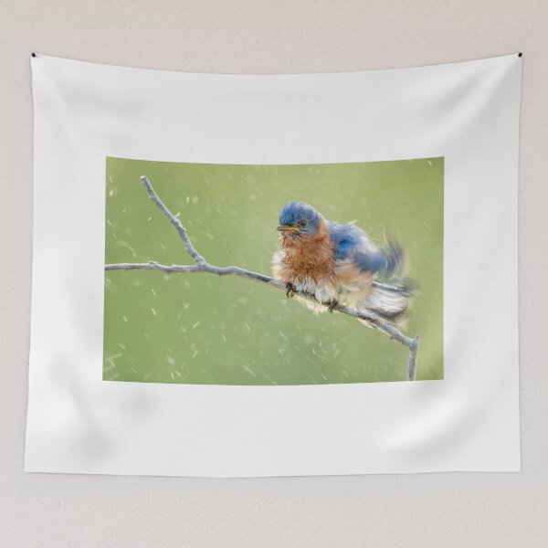 Item preview, Shake Rattle and Roll designed and sold by Bonnie T.  Barry.