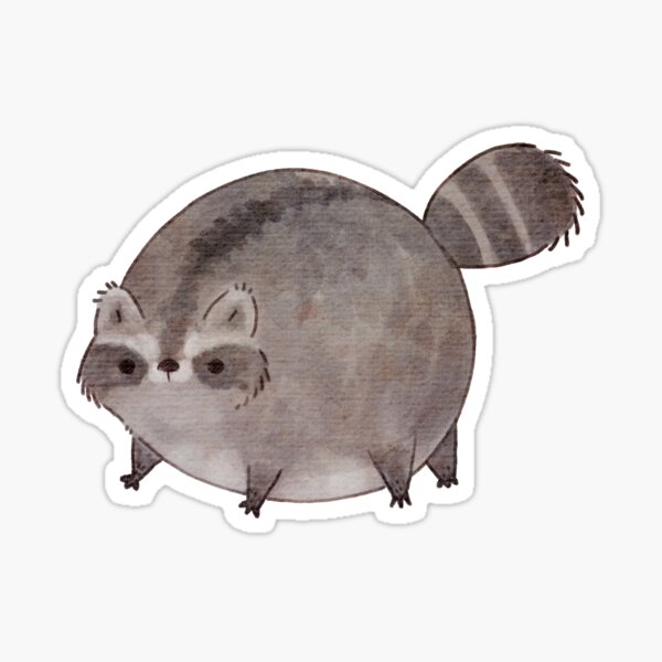 Nature Raccoon Cute | Funny Raccoon Sticker - Cute Raccoon Sticker -  Raccoon Decal, Cute Laptop Sticker, Window Sticker | Raccoon Rock Sign  Sticker