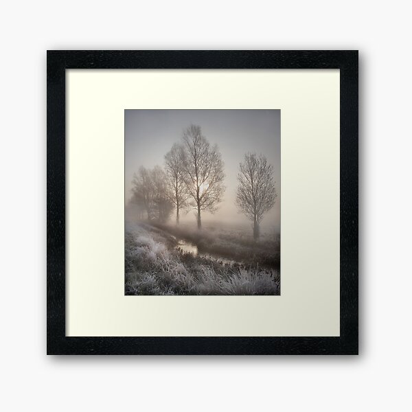 Willows in the Mist Framed Art Print