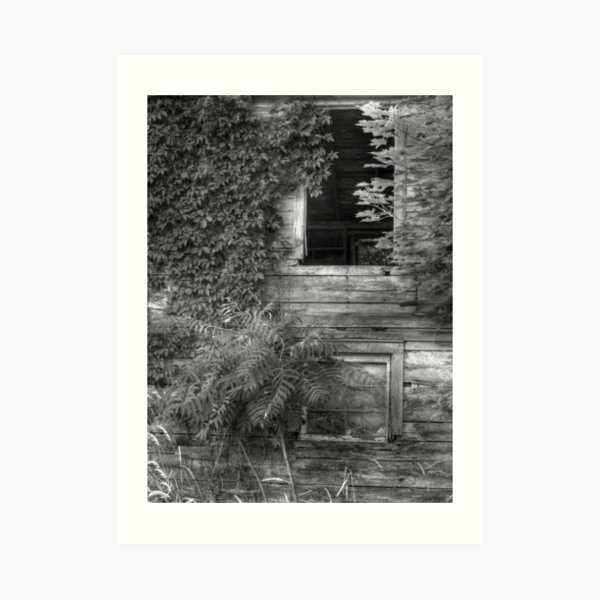 Sumac and Ivy Art Print