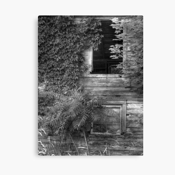 Sumac and Ivy Canvas Print