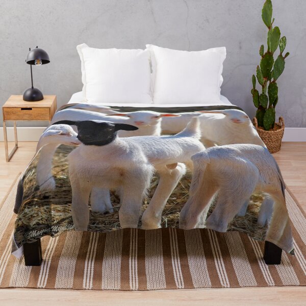 Item preview, WHY AM I ALWAYS STARED AT ! designed and sold by Magriet Meintjes.