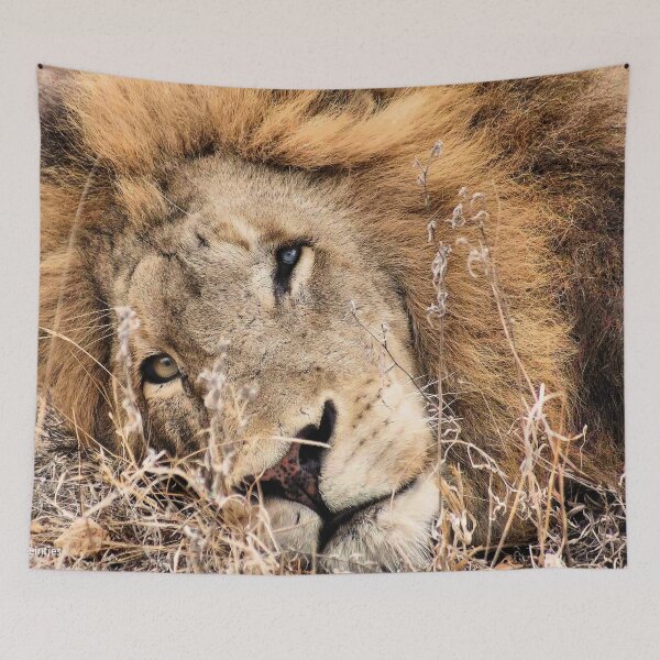 Item preview, ONE BLUE... ONE YELLOW ? designed and sold by Magriet Meintjes.