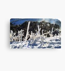"Ice worms" Canvas Print