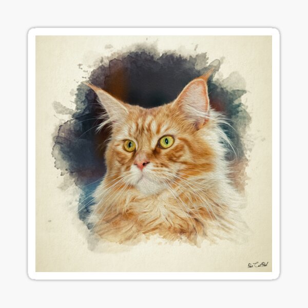 Item preview, Maine coon cat board designed and sold by Pearcatprod.