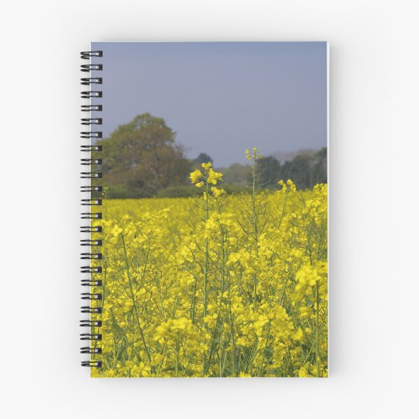 Item preview, West Sussex Rape Field  (Brassica napus) designed and sold by lezvee.
