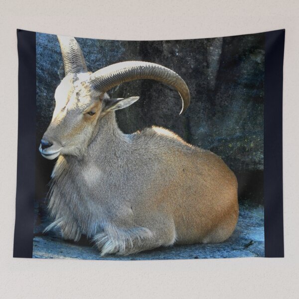 Item preview, Aries the Ram designed and sold by sandysartstudio.