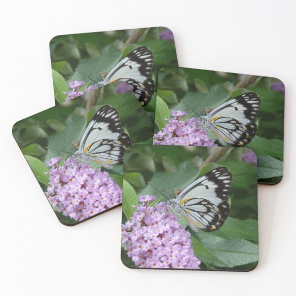 Item preview, Caper White Butterfly : Belenois java designed and sold by Trish Meyer.