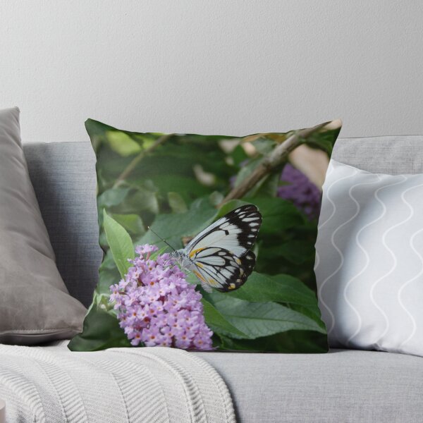 Item preview, Mariposa blanca de la alcaparra: Belenois java designed and sold by Trish Meyer.