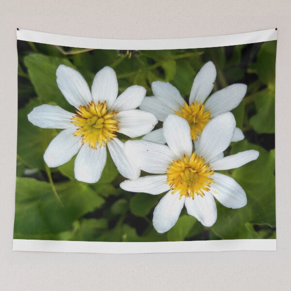 Item preview, White Marsh Marigold designed and sold by brusling.
