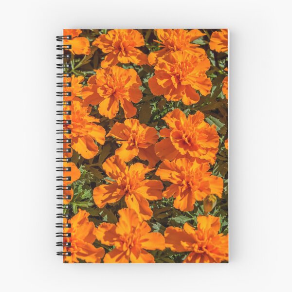 Item preview, Beautiful, Bright Orange Flowers in Springtime designed and sold by Jon Shore.