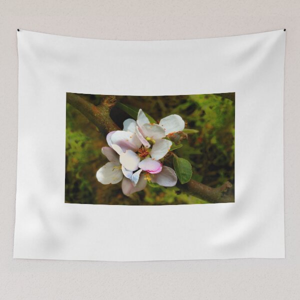 Item preview, Cox's Orange Pippin Apple Blossom Flower designed and sold by Wernher Krutein.