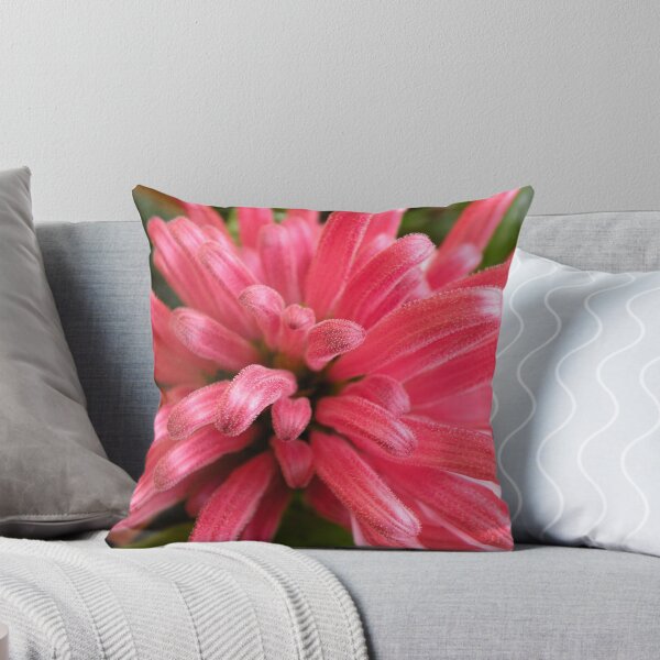 Item preview, Justicia carnea designed and sold by Trish Meyer.