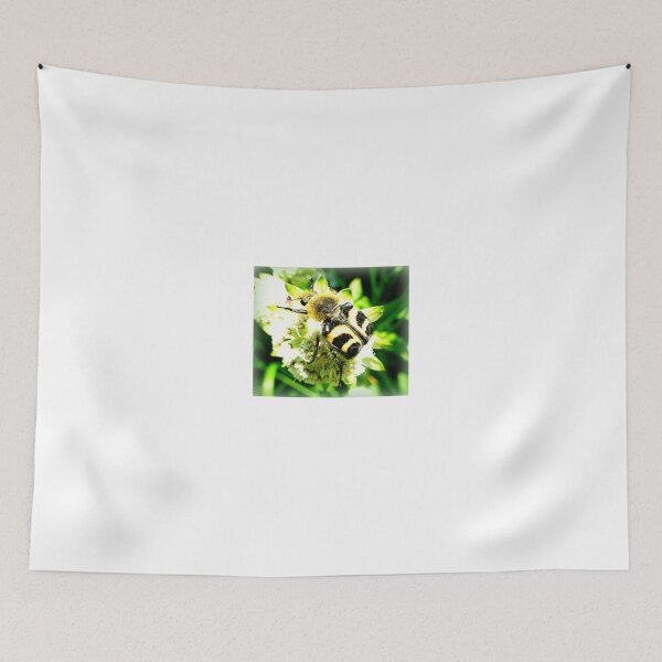 Item preview, Bee Beetle on Astrantia designed and sold by angel1.