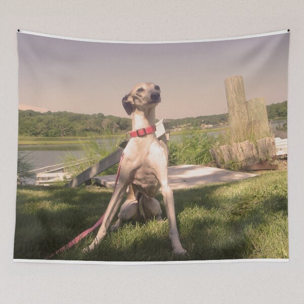 Item preview, Still Beautiful After All These Years designed and sold by CWCards2013.
