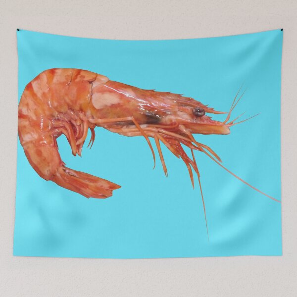 Item preview, Crab 3 designed and sold by DrTigrou.
