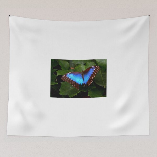Item preview, Blue butterfly designed and sold by annalisa56.