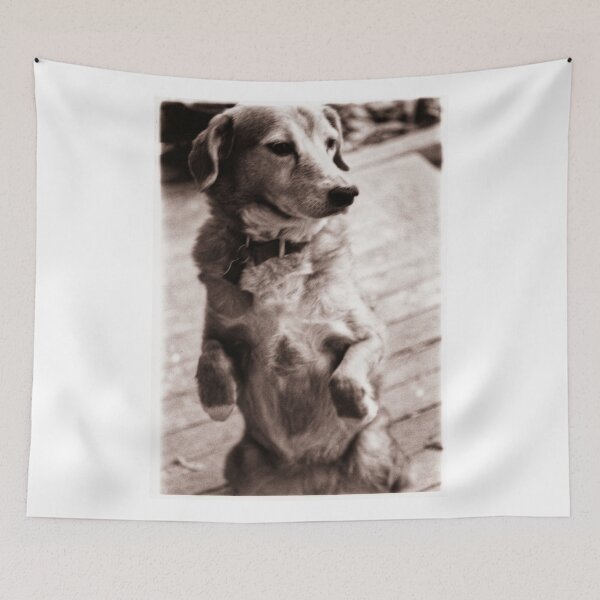 Item preview, Sarah designed and sold by dmartin200.