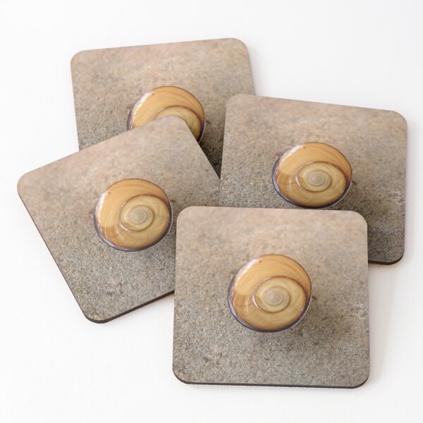 Item preview, Polished by Time and Tide designed and sold by Trish Meyer.