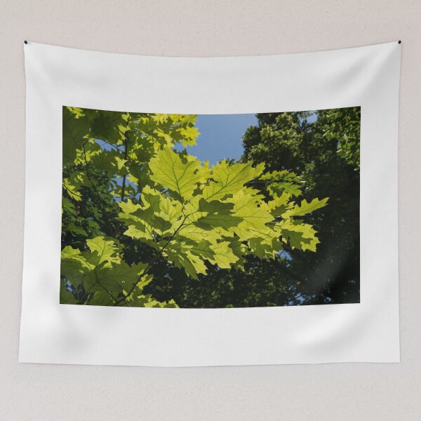 Item preview, More Than Sixty Shades Of Green - Sunlit Oak and Linden Patterns - Up Right designed and sold by Georgia Mizuleva.