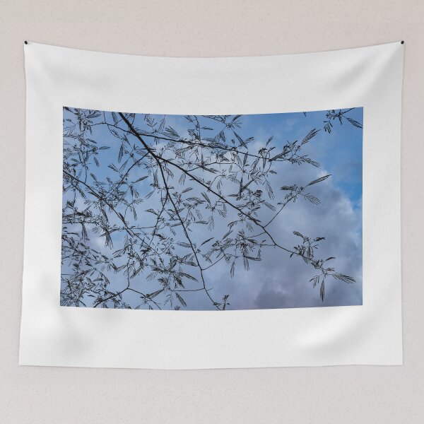 Item preview, Graceful Lace in the Sky - Mimosa Leaves and Buds Against Dusk Clouds - Horizontal View Downwards Left designed and sold by Georgia Mizuleva.