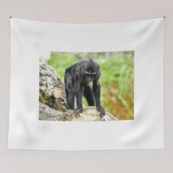 Item preview, Playful designed and sold by StudioCorvid.
