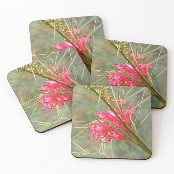 Item preview, Grevillea "Bonfire" designed and sold by Trish Meyer.
