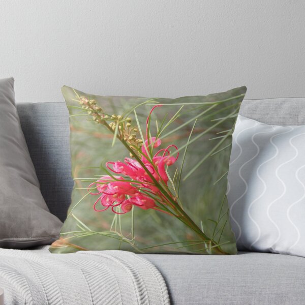 Item preview, Grevillea "Bonfire" designed and sold by Trish Meyer.