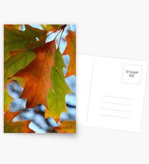 Autumn tones Postcards