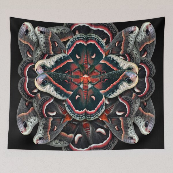 Item preview, Cecropia Moth Mandala - Asymmetrical designed and sold by jenithea.
