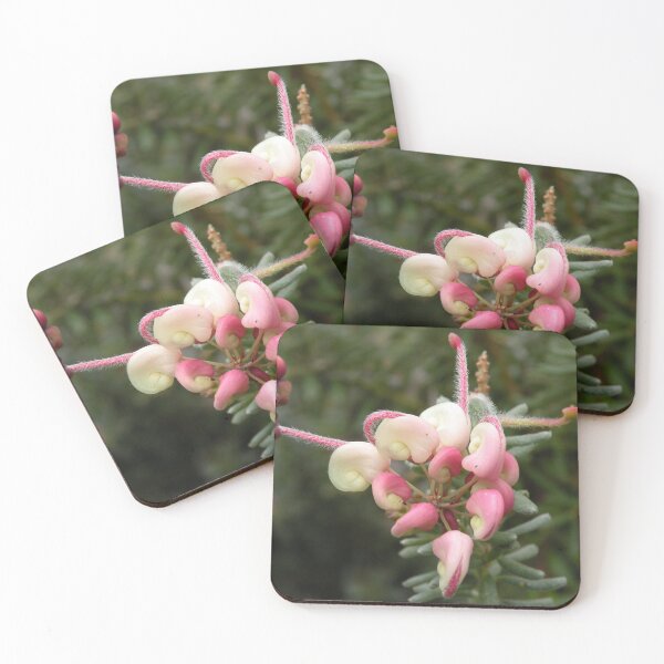 Item preview, Woolly Grevillea designed and sold by Trish Meyer.