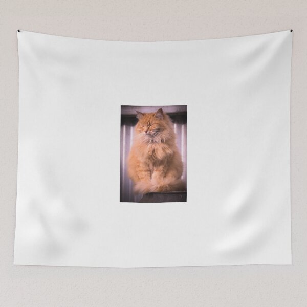 Item preview, Juniper soaks up the winter sun designed and sold by Clare Colins.