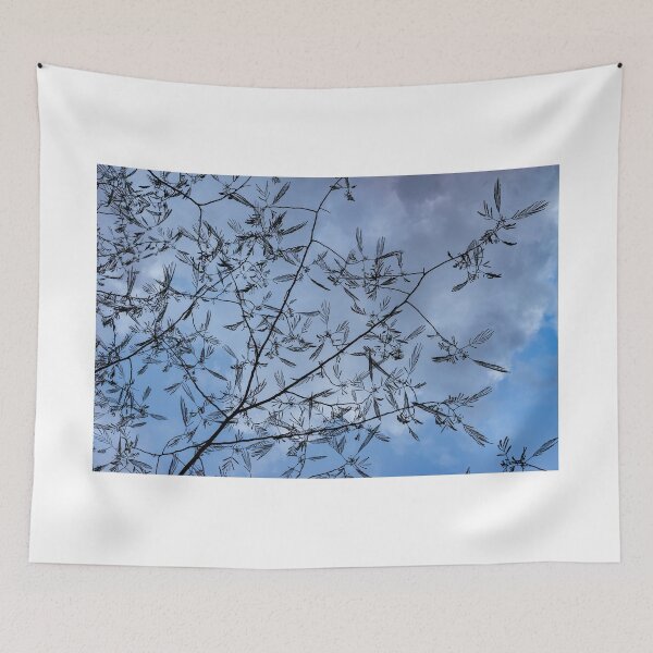 Item preview, Graceful Lace in the Sky - Mimosa Leaves and Buds Against Dusk Clouds - Horizontal View Upwards Left designed and sold by Georgia Mizuleva.