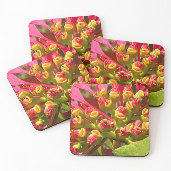 Item preview, Poinsettia Flowers designed and sold by Trish Meyer.