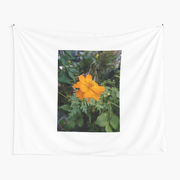 Flowers, #flowers, African daisies, #African, #daisies, #Africandaisies Tapestry