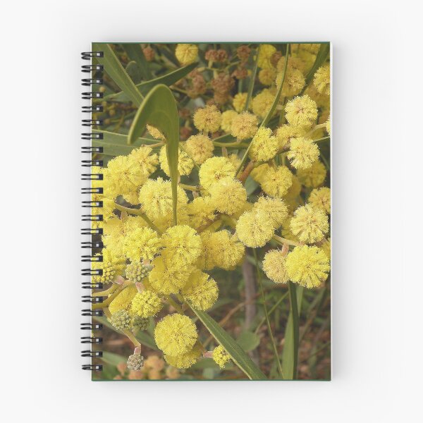 Item preview, Acacia in Bloom designed and sold by Trish Meyer.