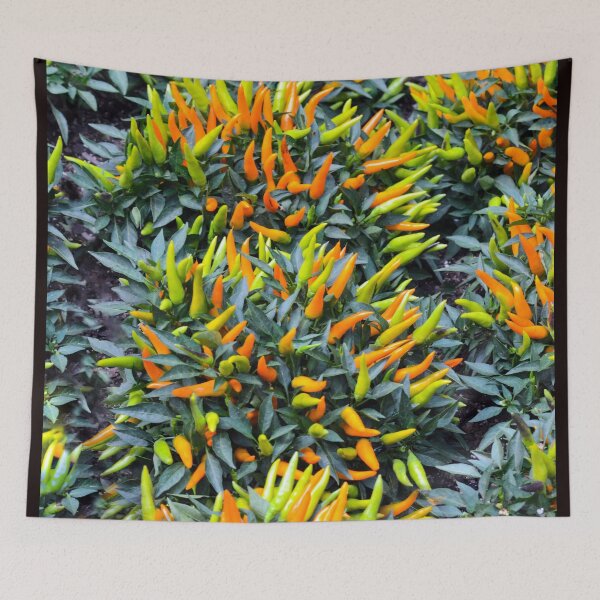 Item preview, Ornamental Peppers designed and sold by ginawaltersdorf.