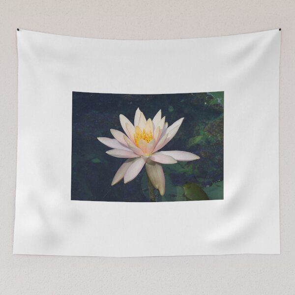 Item preview, Lily Pond Lily designed and sold by Monnie Ryan.
