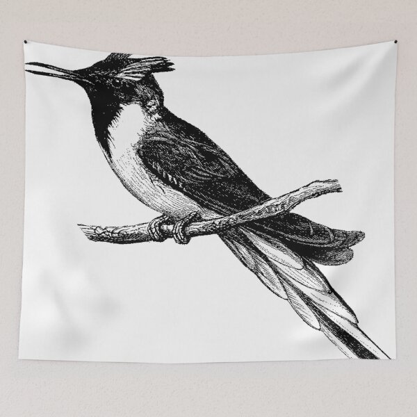 Item preview, Kingfish, Kingfish my Kingdom for a Fish  designed and sold by Quill-n-Ink.