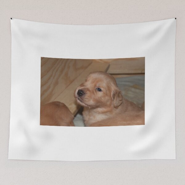 Item preview, Adorable Golden Pups 2 designed and sold by KHartmann.