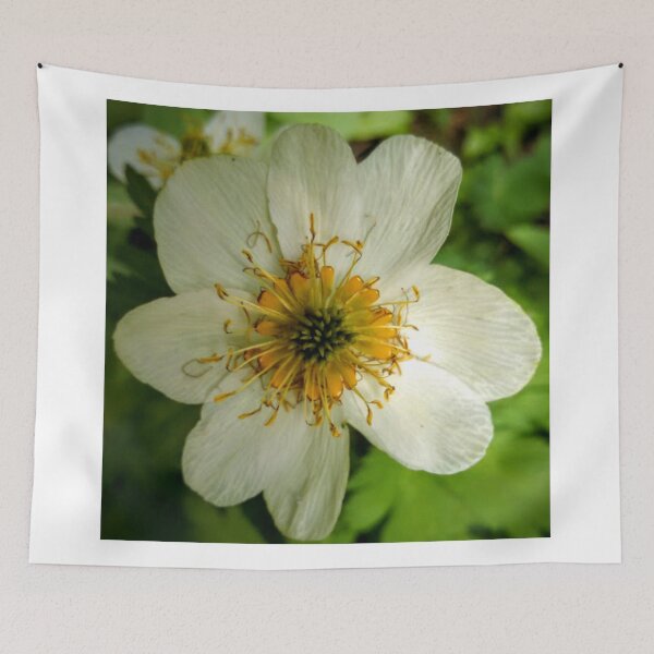 Item preview, Globeflower designed and sold by brusling.